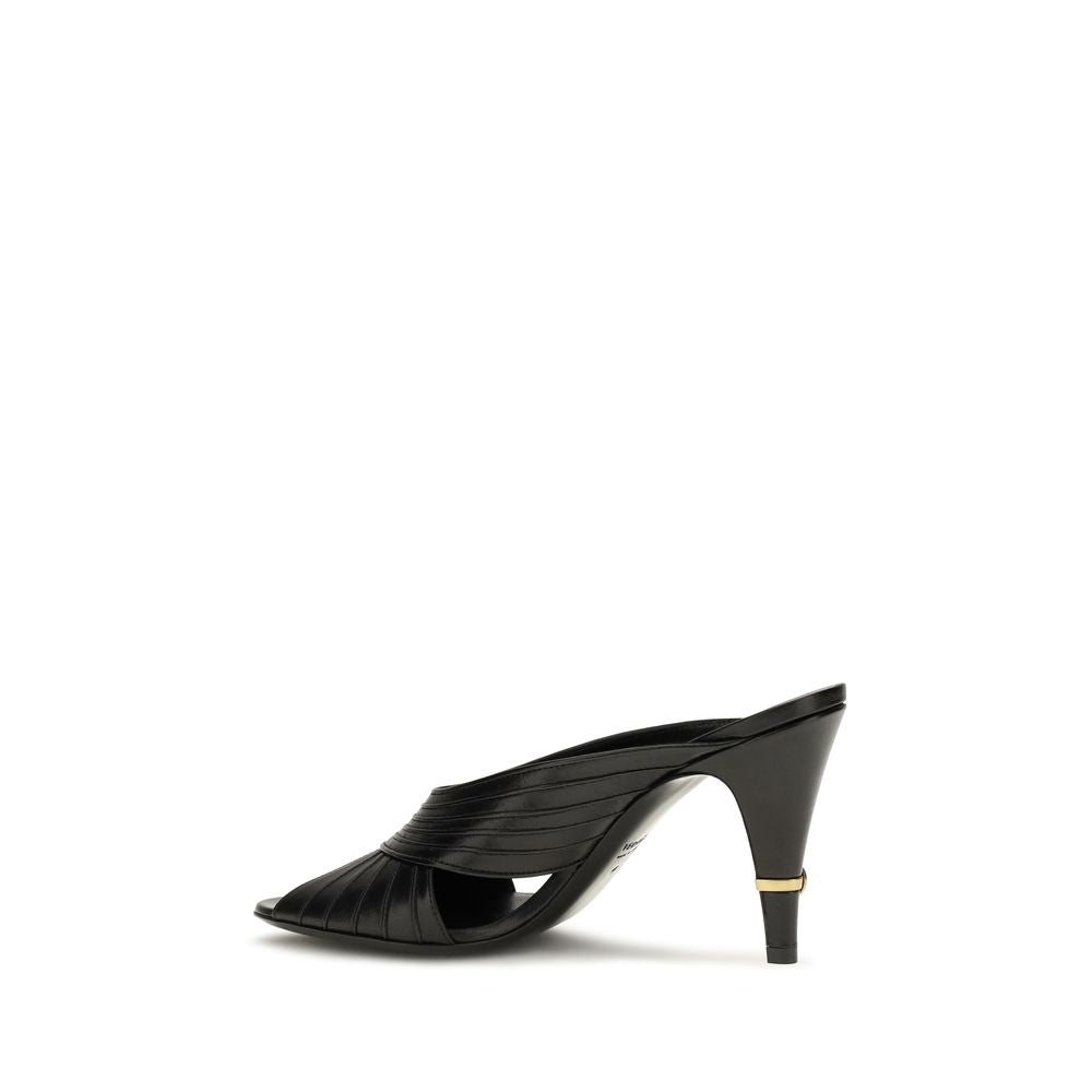Black Lamb Ovis Aries Mules