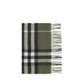 Bicolor Cashmere Scarf