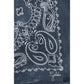 Blue Silk Scarf