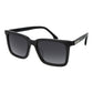 Gray Acetate Sunglasses