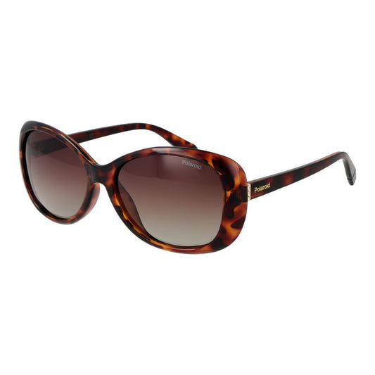 Brown Plastic Sunglasses