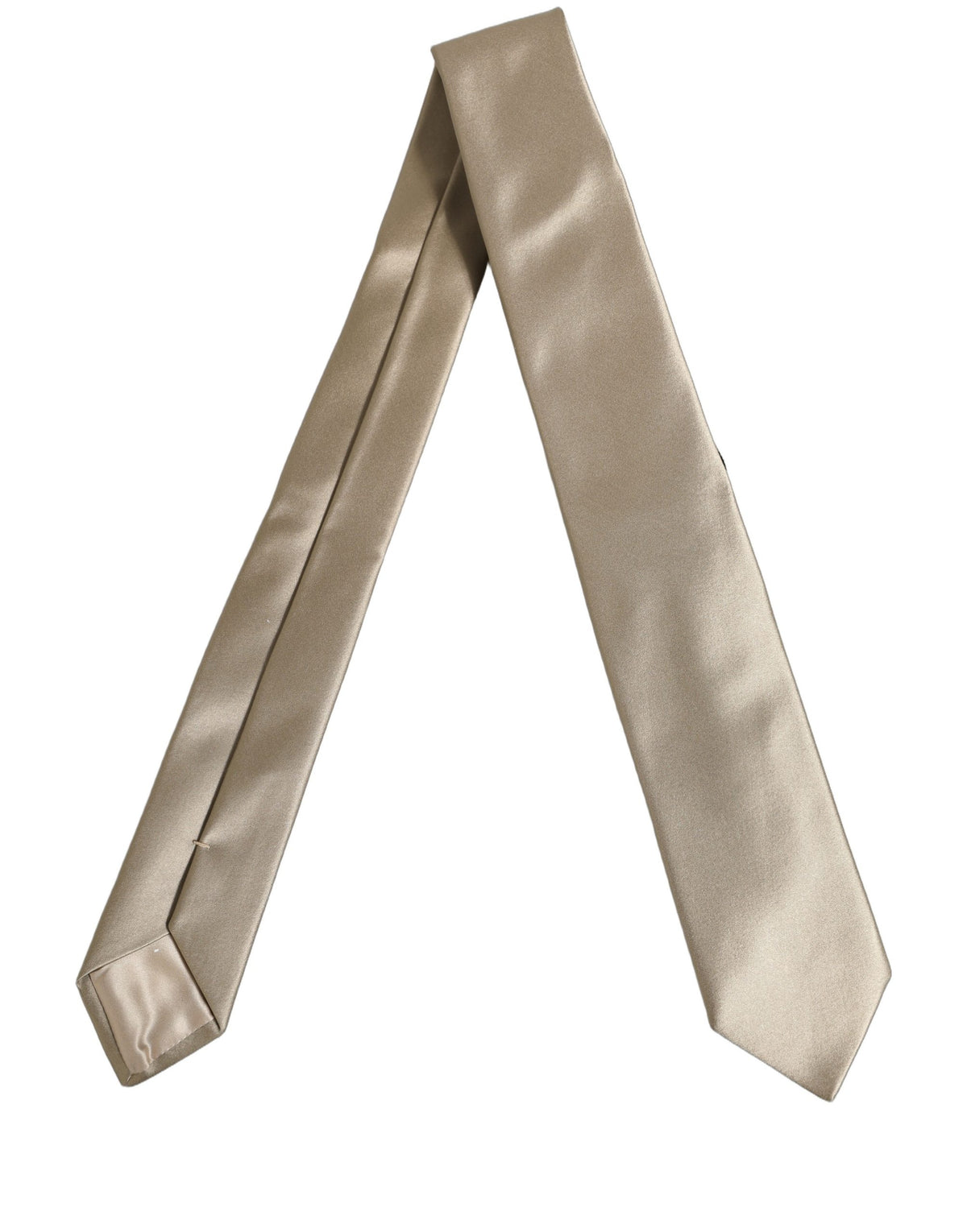 Beige Satin Silk Adjustable Tied Necktie Accessory Tie