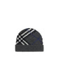 Gray Cashmere Beanie