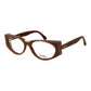 Brown Plastic Glasses (Frames)