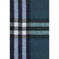 Blue Cashmere Foulard