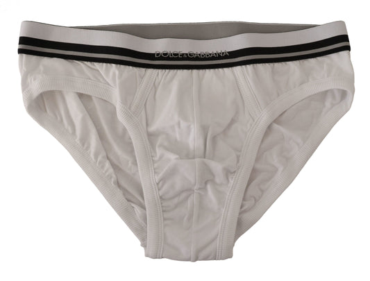 Chic Monochrome Striped Waistband Briefs