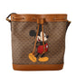 Enchanting Disney Supreme Shoulder Splendor