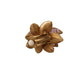 Elegant Gold Floral Clip On Earrings