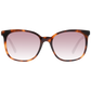 Brown Women Sunglasses