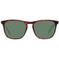 Brown Sunglasses for man
