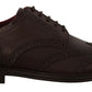 Elegant Calfskin Derby Oxford Wingtips