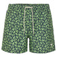 Emerald Green Beach Shorts for Trendy Summer Days