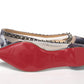 Multicolor Print Silver Flat Point Toe Shoe