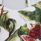 Elegant Fig Print A-Line Sleeveless Dress