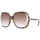 Brown Women Sunglasses
