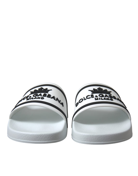Chic White and Black Logo Slides