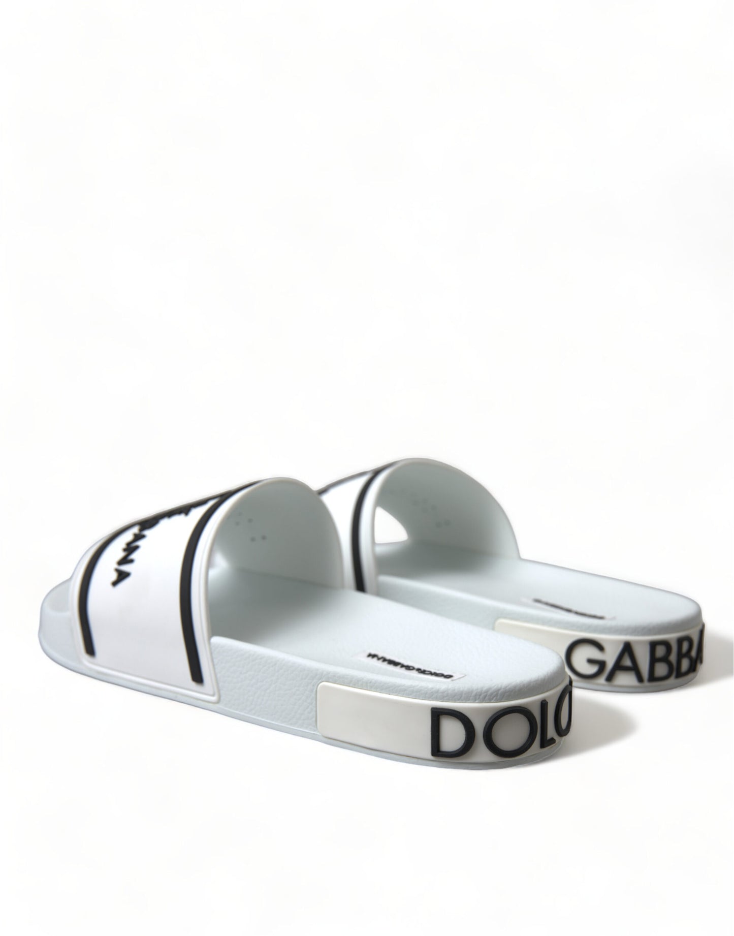 Chic White and Black Logo Slides