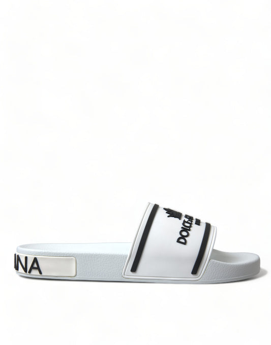 Chic White and Black Logo Slides