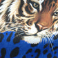 Stunning Exotic Print Jogger Pants