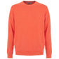 Embroidered Logo Crew Neck Sweater in Orange