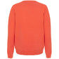 Embroidered Logo Crew Neck Sweater in Orange