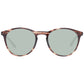 Brown Men Sunglasses