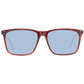 Brown Men Sunglasses