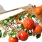 Multicolor Crystal Sicilian Orange Crown