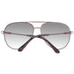 Brown Women Sunglasses