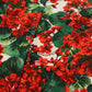 Red Green Portofino-Print Poplin Midi Dress