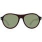 Brown Men Sunglasses