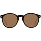 Brown Men Sunglasses