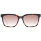 Brown Men Sunglasses