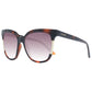 Brown Women Sunglasses