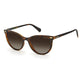 Brown Resin Sunglasses