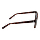 Brown Women Sunglasses