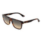 Brown Plastic Sunglasses