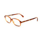 Brown Plastic Glasses (Frames)