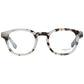 Gray Plastic Glasses (Frames)