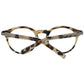 Brown Plastic Glasses (Frames)
