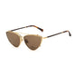 Gold Acetate Glasses (Frames)