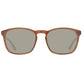 Brown Plastic Sunglasses