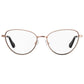 Gold Metal Glasses (Frames)