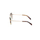 Bicolor Acetate Glasses (Frames)