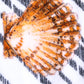 Multicolor Stripes Seashells Beach Towel