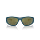 Blue Resin Sunglasses