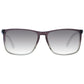 Brown Men Sunglasses