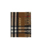 Archivio Check Scarf