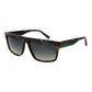 Brown Men Sunglass