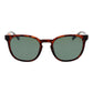 Brown Men Sunglass